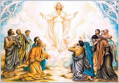 Ascensión del Señor – Catequesis del Santo Padre emérito Benedicto XVI