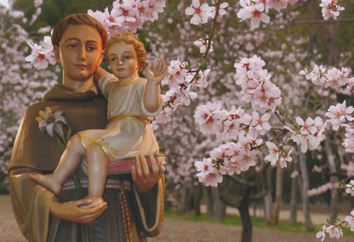 Recursos para la catequesis sobre san Antonio de Padua