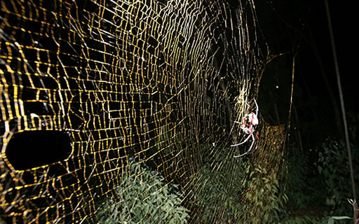 El cuento de la araña salvadora - Dinámica para el Tiempo de Pascua