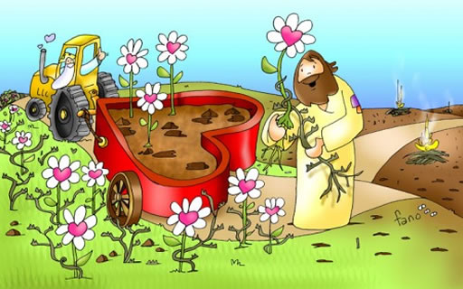 Evangelio del día: Parábola del sembrador