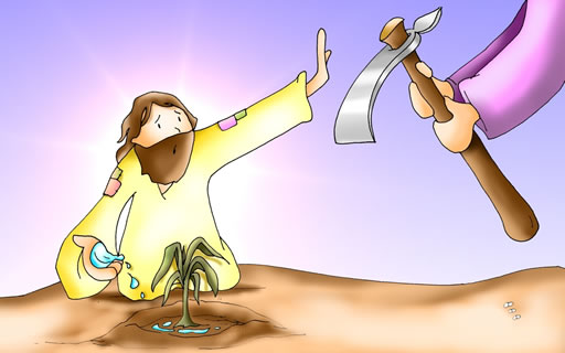 Evangelio del día: Invitación a la conversión